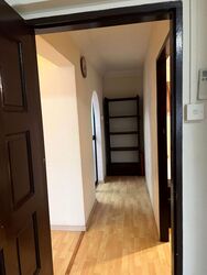 Blk 428 Tampines Street 41 (Tampines), HDB Executive #524417471